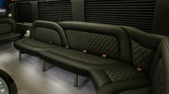 Interior of Whitehall Party Bus Company's 18 Passenger Party Bus in Whitehall